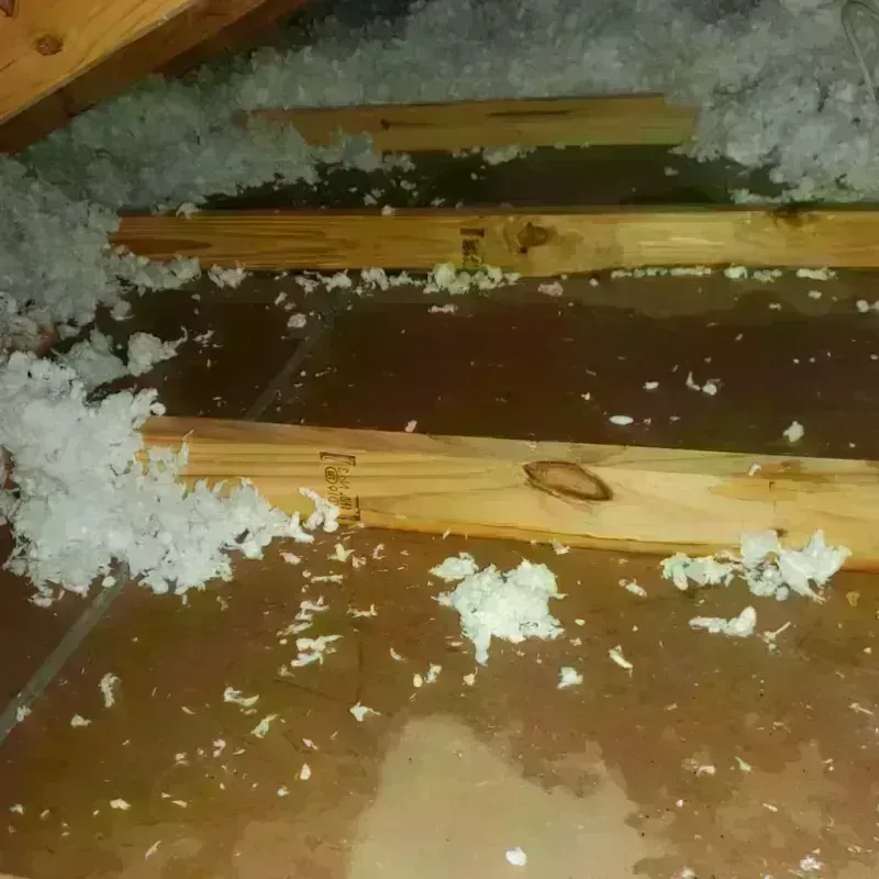 Attic Water Damage in Manchaca, TX