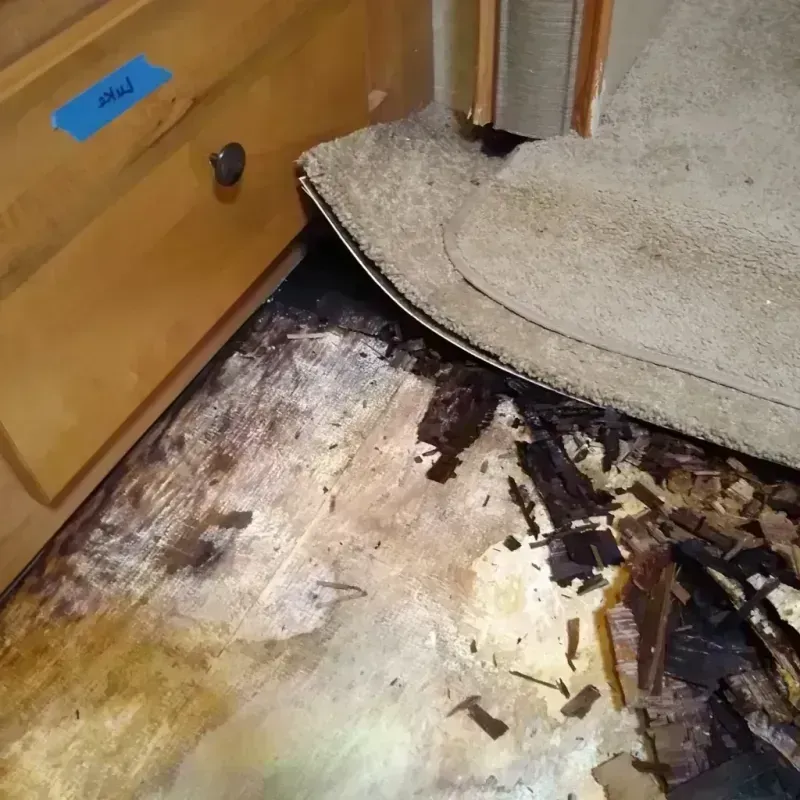 Wood Floor Water Damage in Manchaca, TX